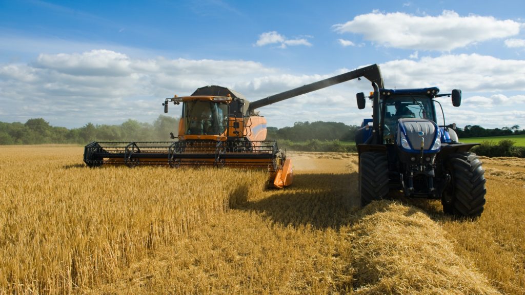 Combine harvester and tractor, harvesting wheat